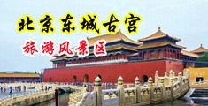 干女人骚屄视频中国北京-东城古宫旅游风景区